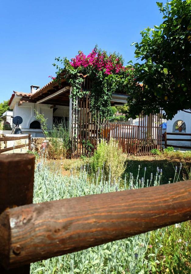 Koel Country House Ano Almiri Ngoại thất bức ảnh